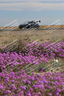 media/Jan-08-2023-SCCA SD (Sun) [[8f6a5b9391]]/Advanced Group/Session 2 (Short Straight)/